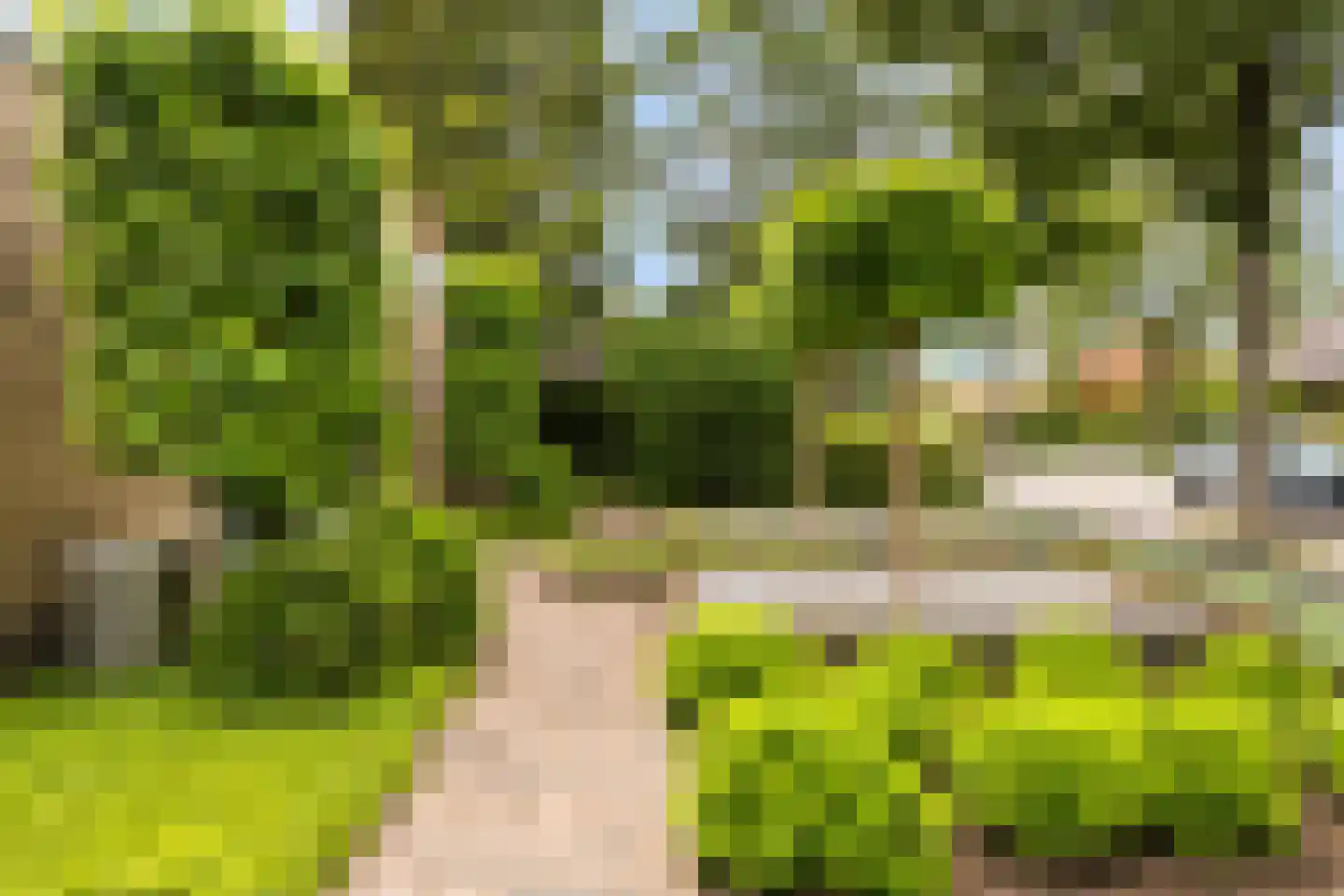 Boomakkerweg 10 Lunteren thumbnail 51