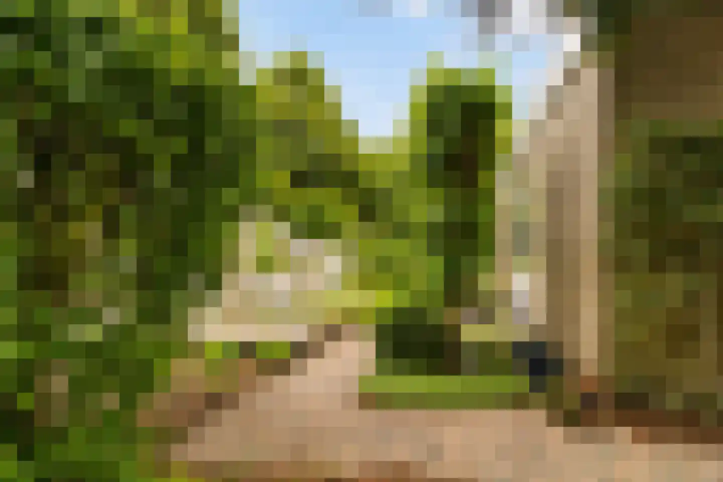 Boomakkerweg 10 Lunteren thumbnail 53