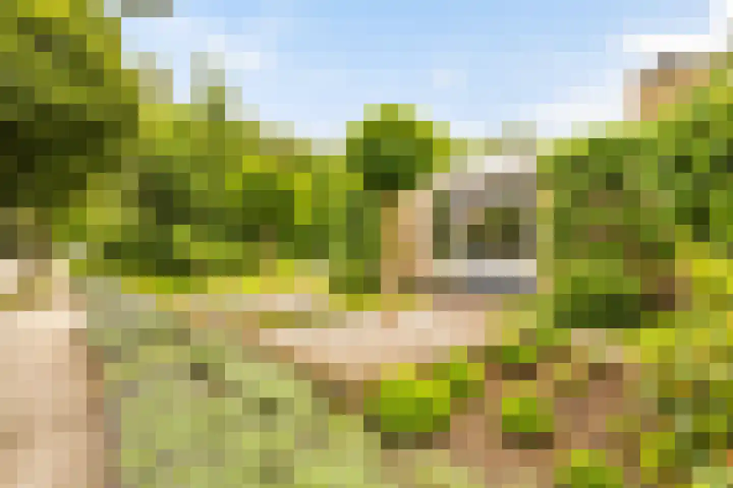 Boomakkerweg 10 Lunteren thumbnail 54