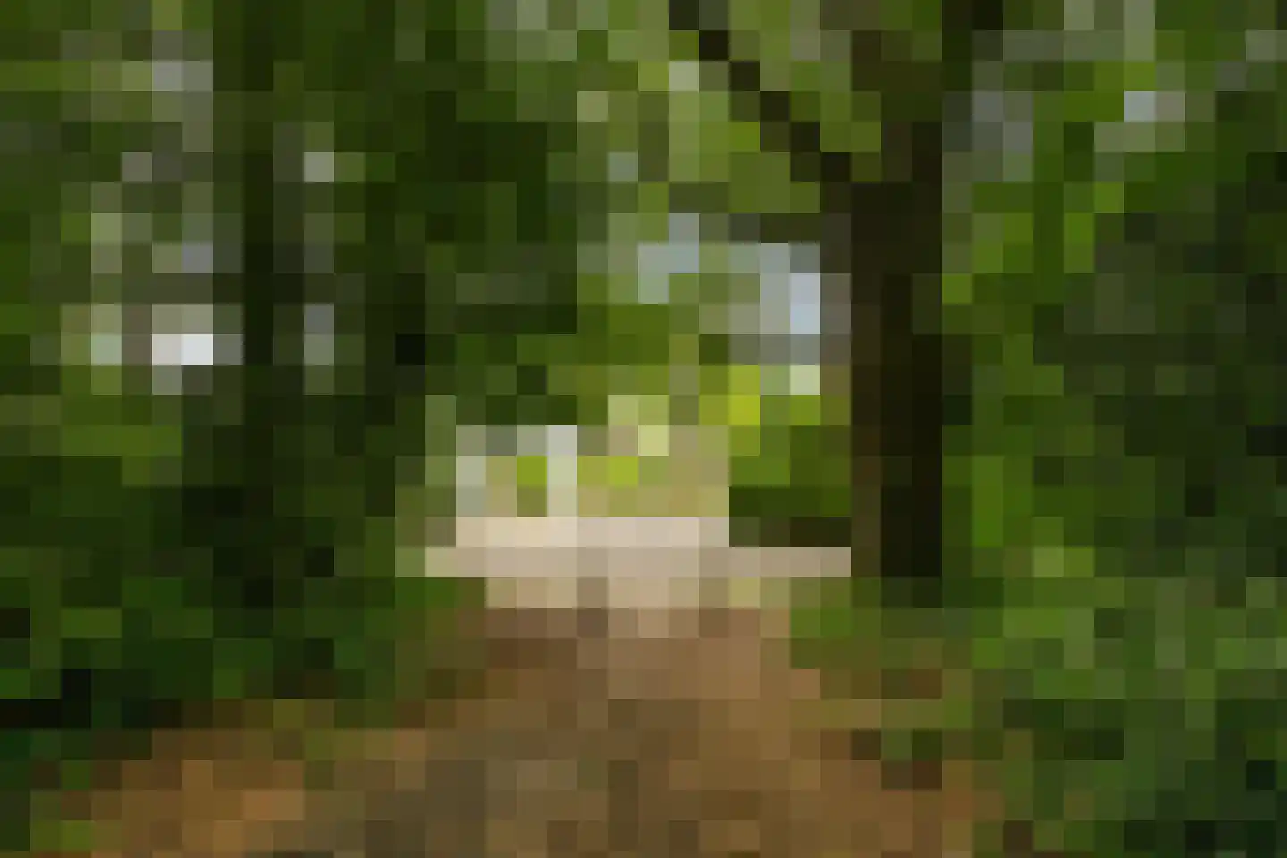 Boomakkerweg 10 Lunteren thumbnail 58