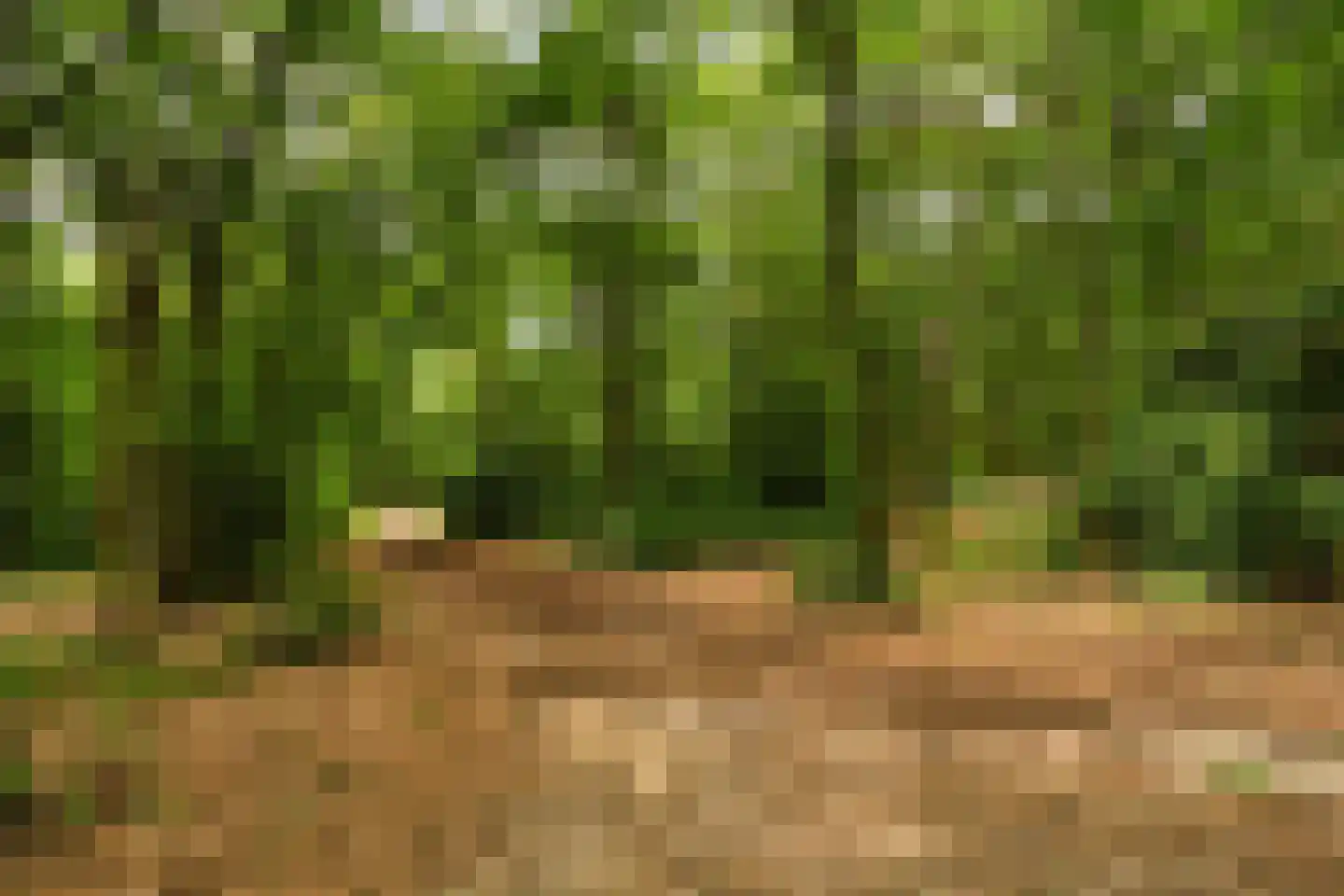 Boomakkerweg 10 Lunteren thumbnail 59