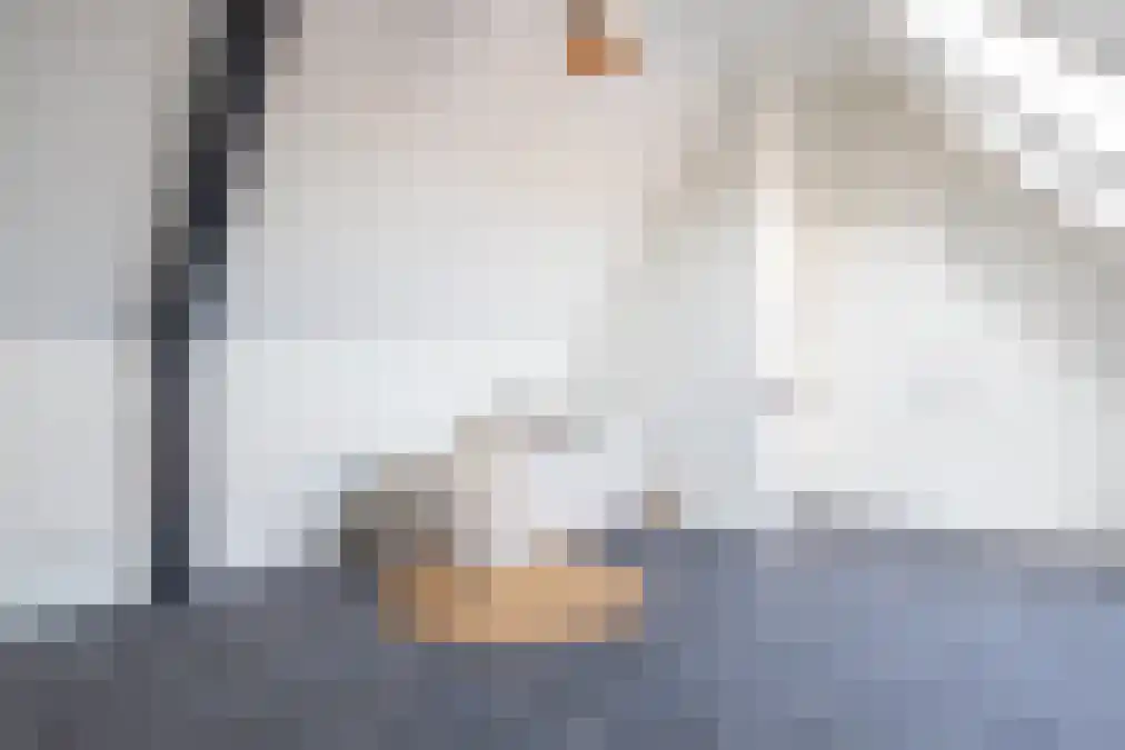 Boomaweg 16 Den Haag thumbnail 35