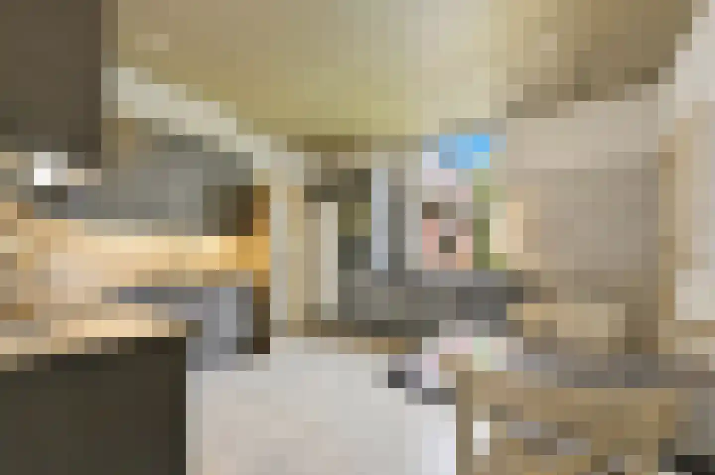 Boomaweg 43 Den Haag thumbnail 17