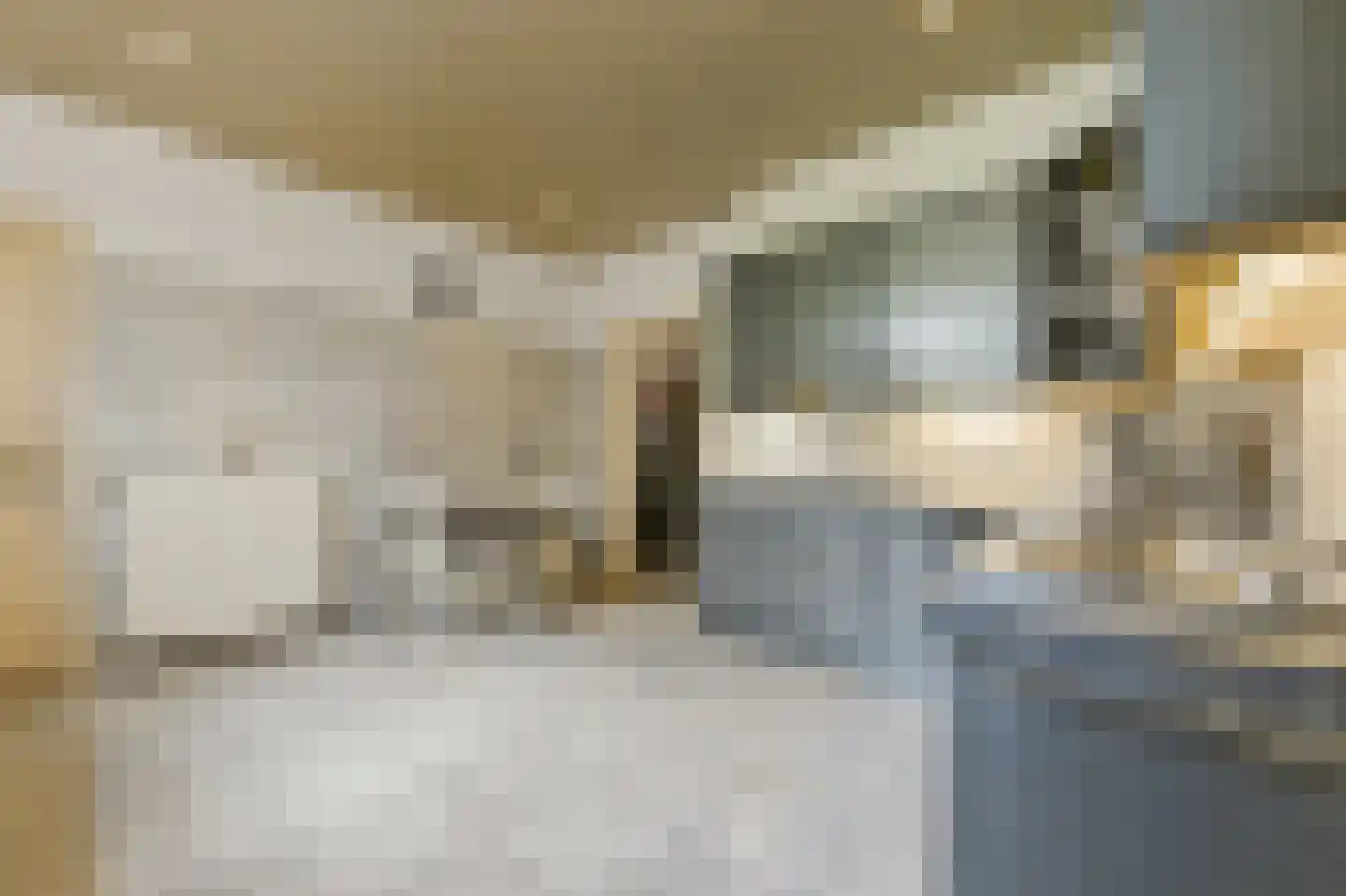Boomaweg 43 Den Haag thumbnail 18