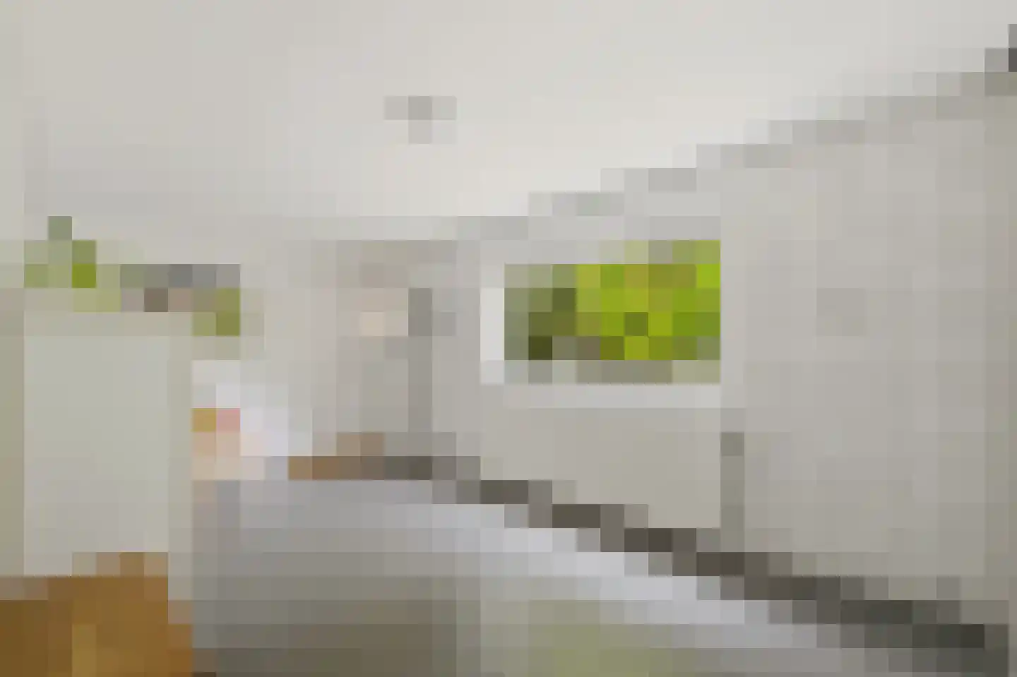 Boomaweg 43 Den Haag thumbnail 22