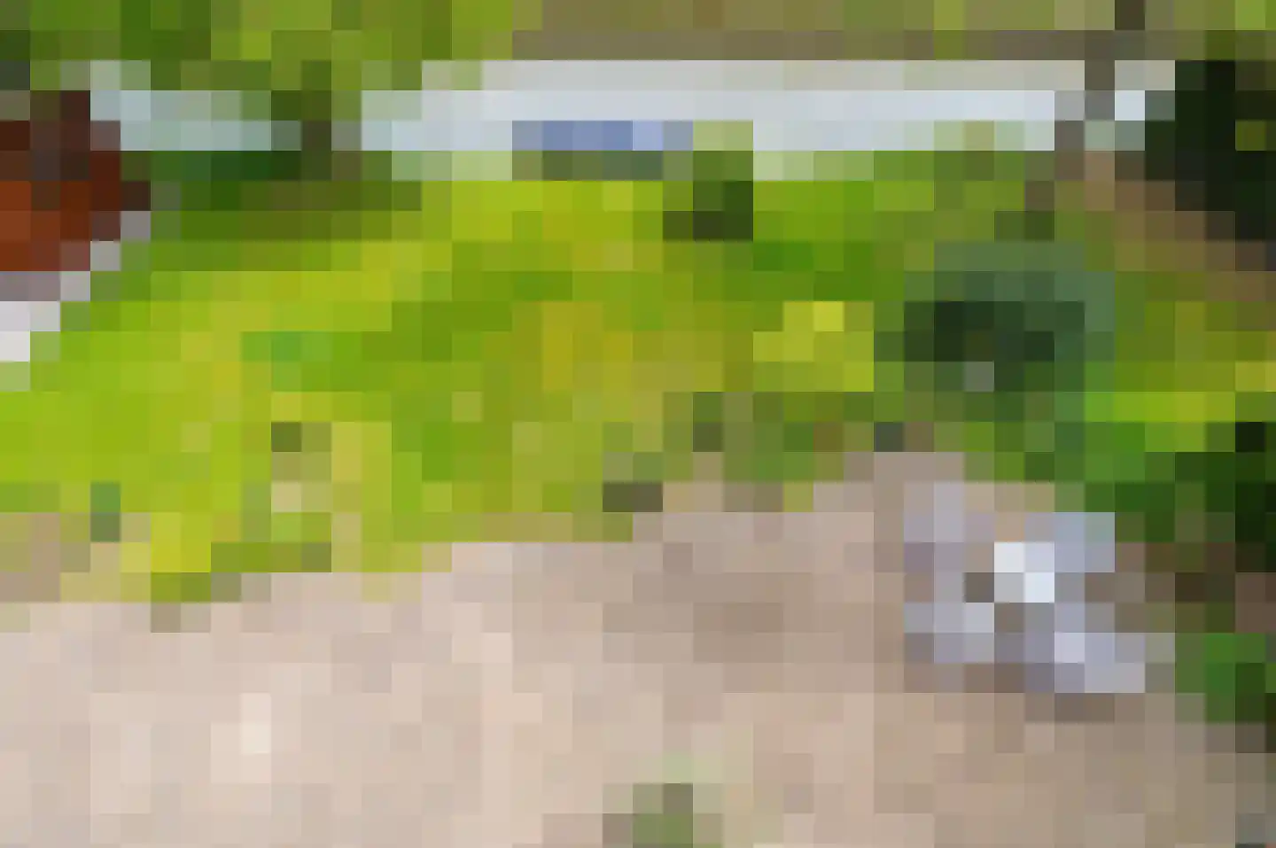 Boomaweg 43 Den Haag thumbnail 33