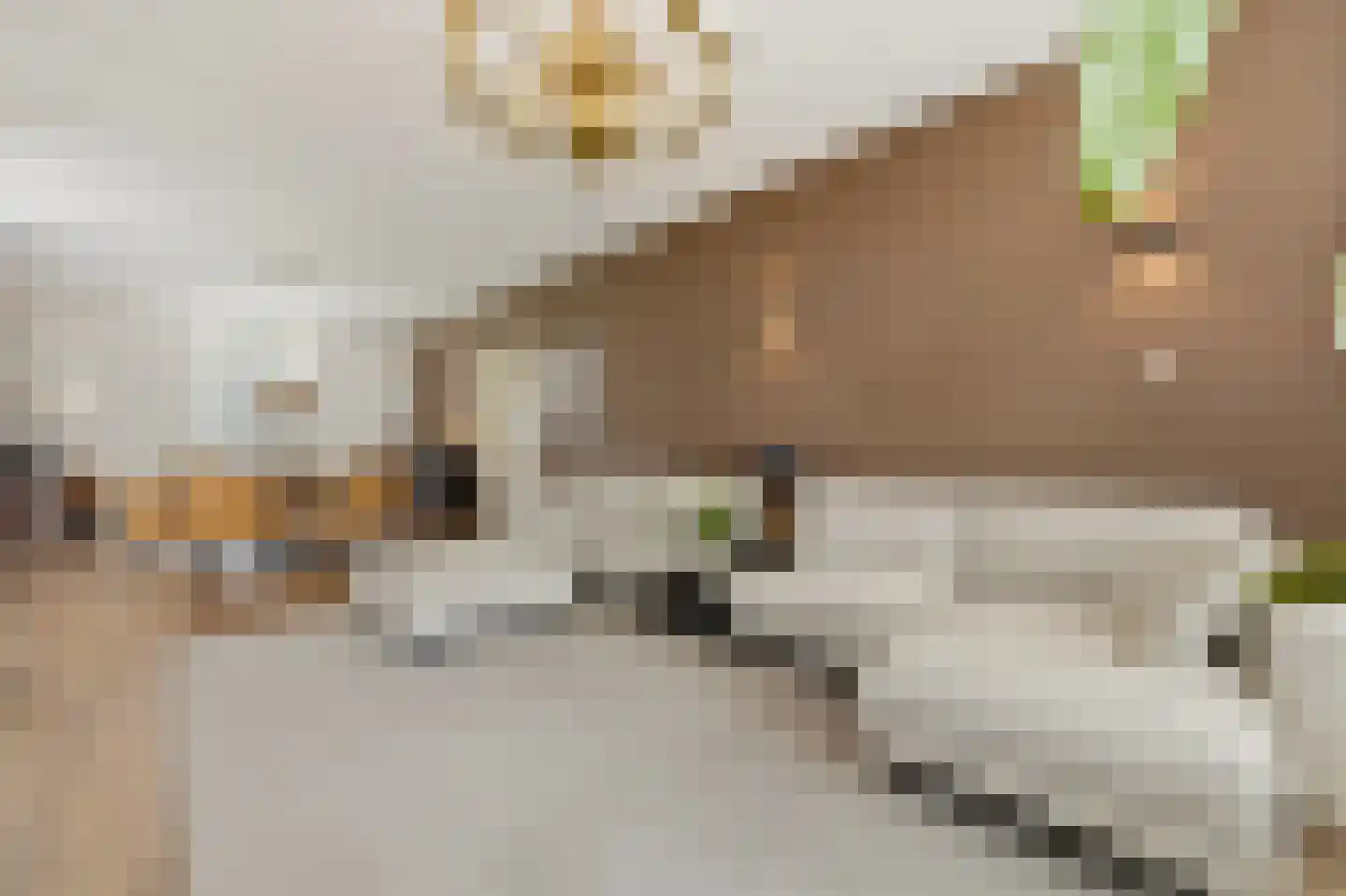 Boomaweg 43 Den Haag thumbnail 4