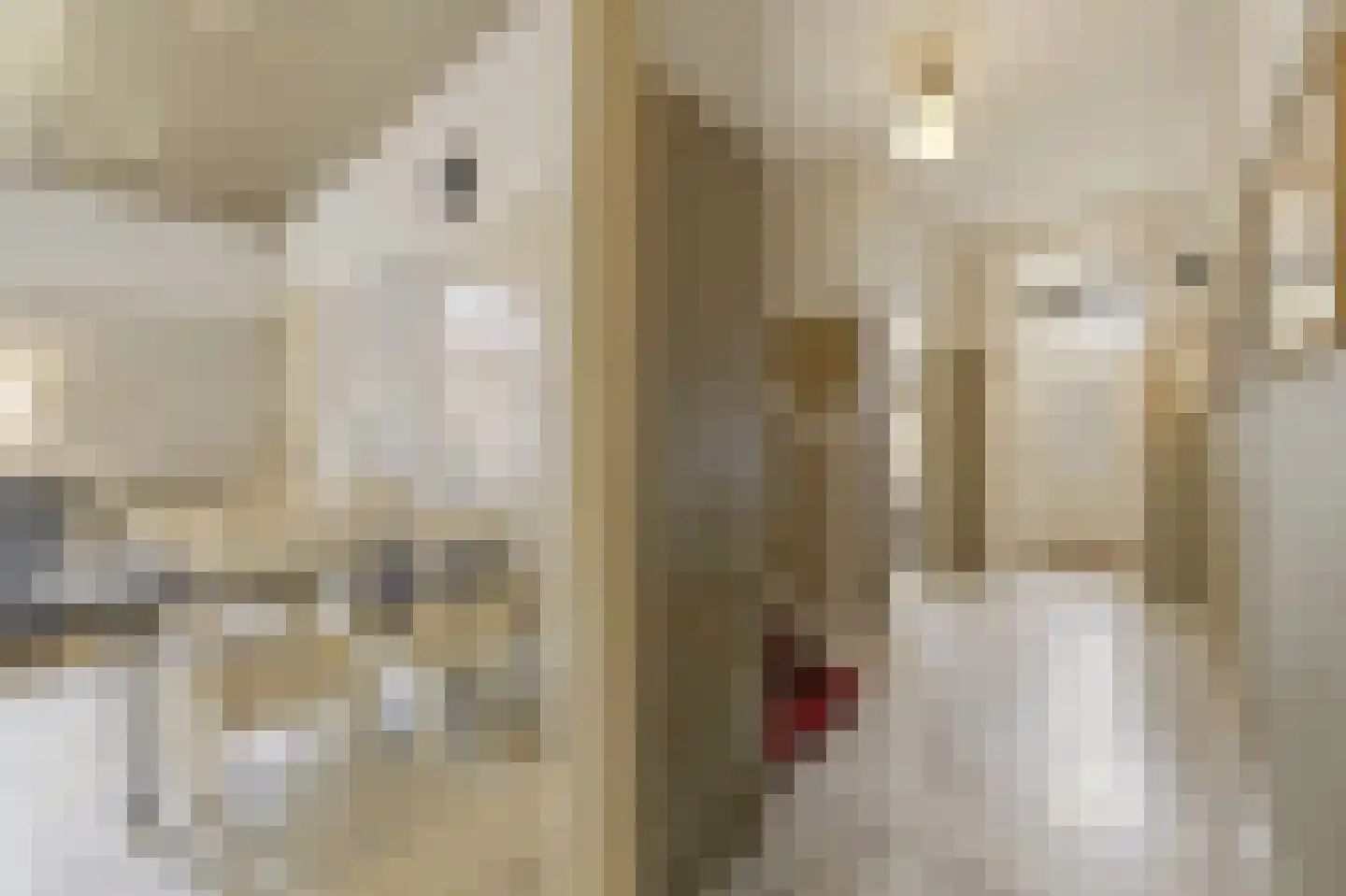 Boomaweg 43 Den Haag thumbnail 47