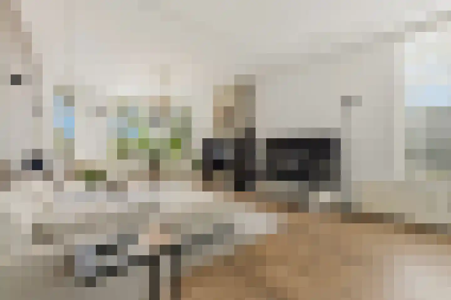 Boomaweg 43 Den Haag thumbnail 5