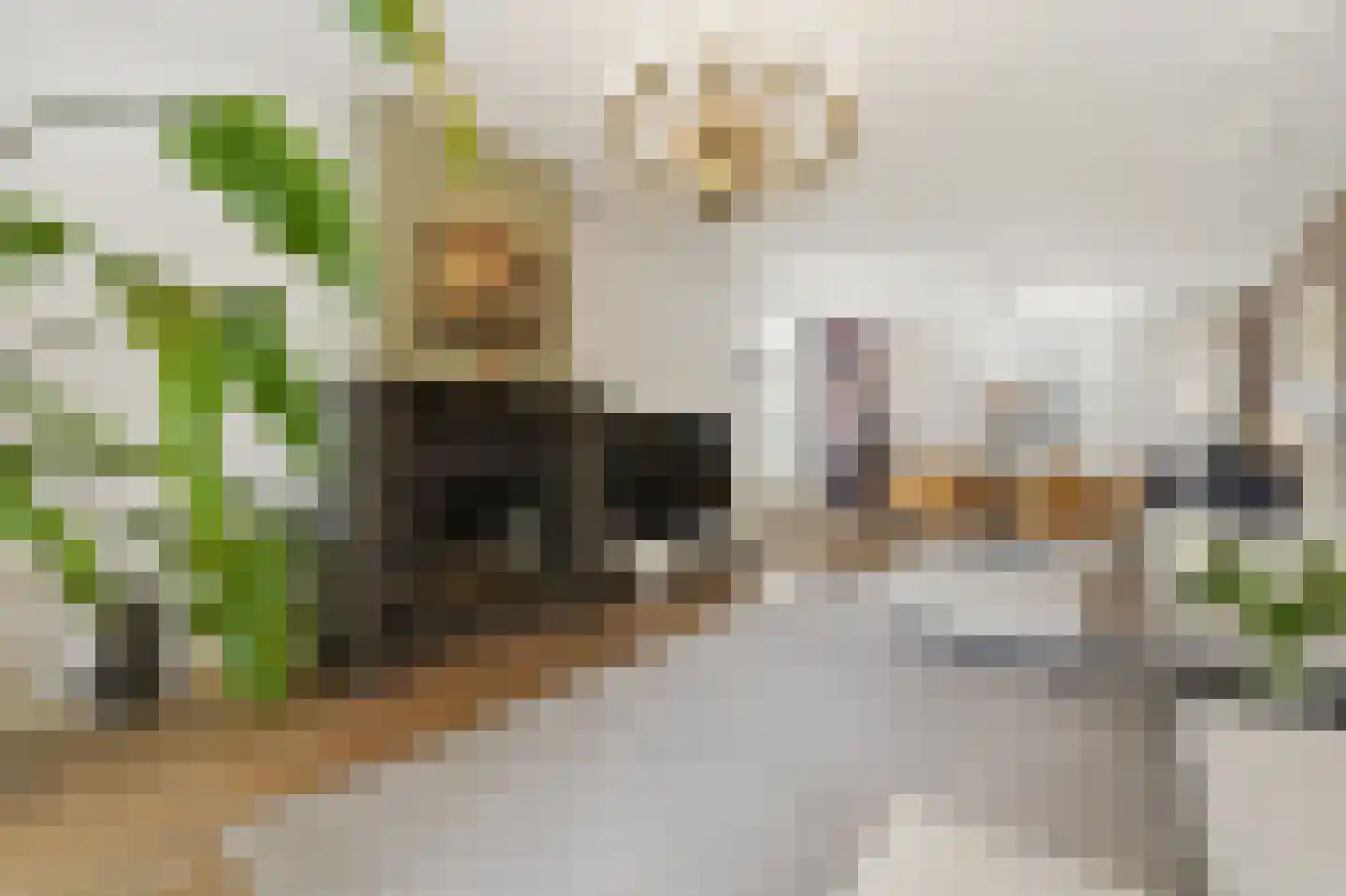 Boomaweg 43 Den Haag thumbnail 6
