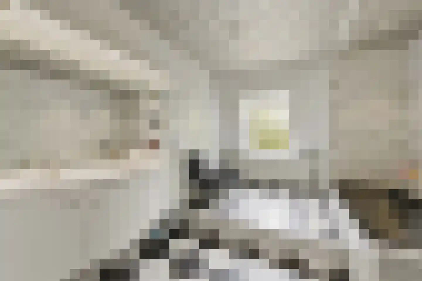 Boomaweg 43 Den Haag thumbnail 65