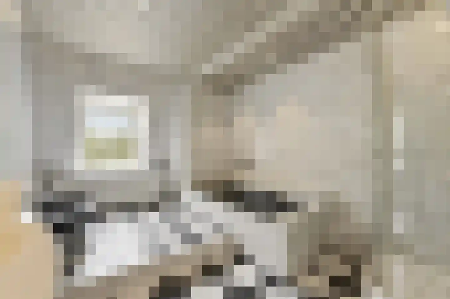 Boomaweg 43 Den Haag thumbnail 67