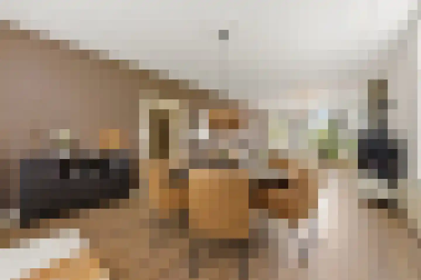 Boomaweg 43 Den Haag thumbnail 7