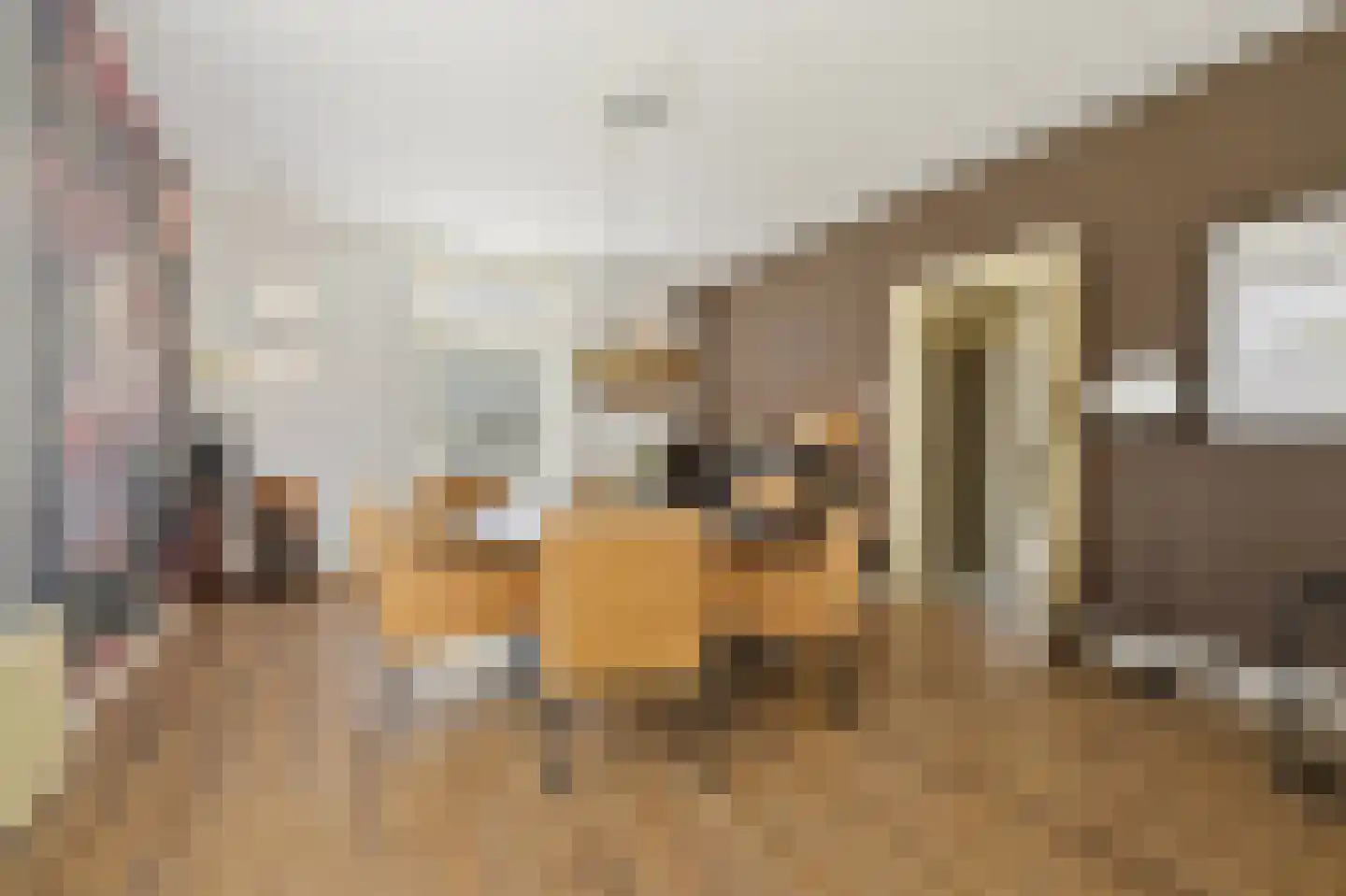 Boomaweg 43 Den Haag thumbnail 8