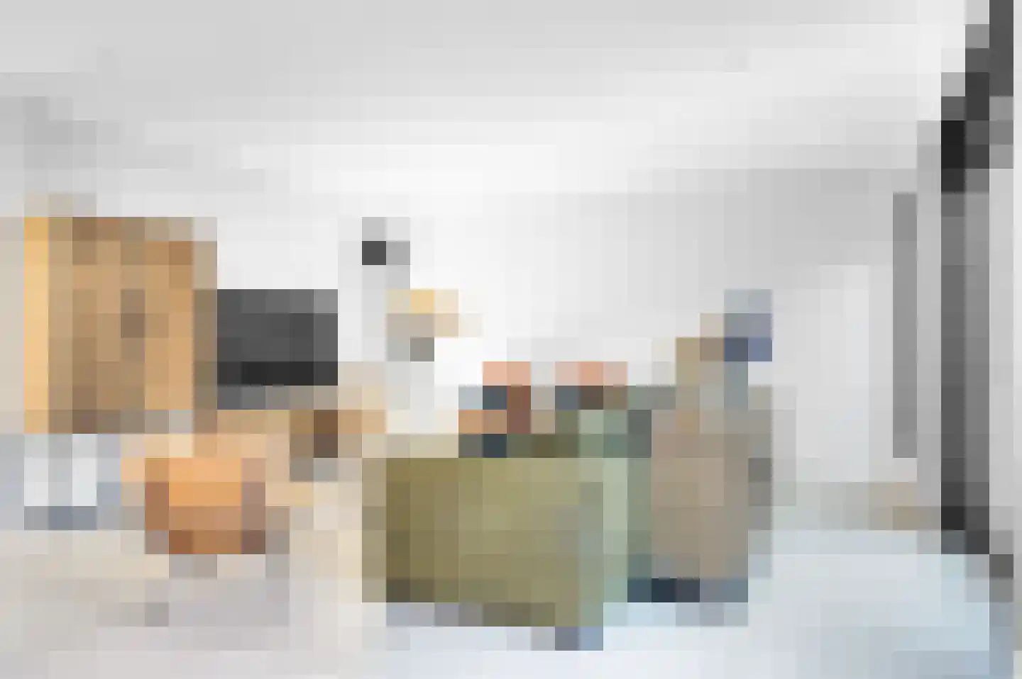 Boomaweg 60 Den Haag thumbnail 23