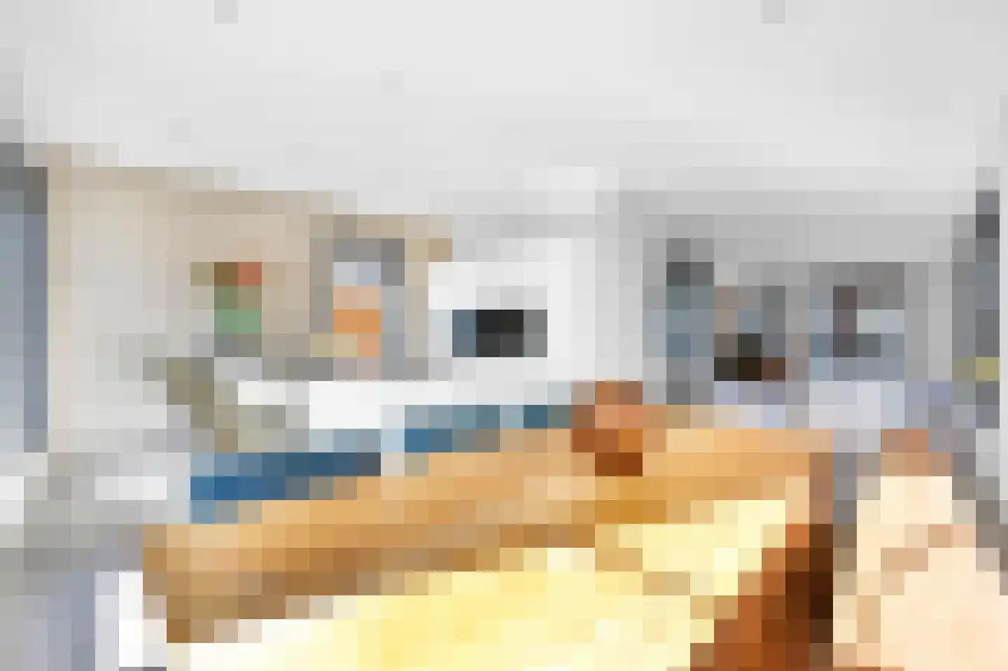 Boomaweg 60 Den Haag thumbnail 5
