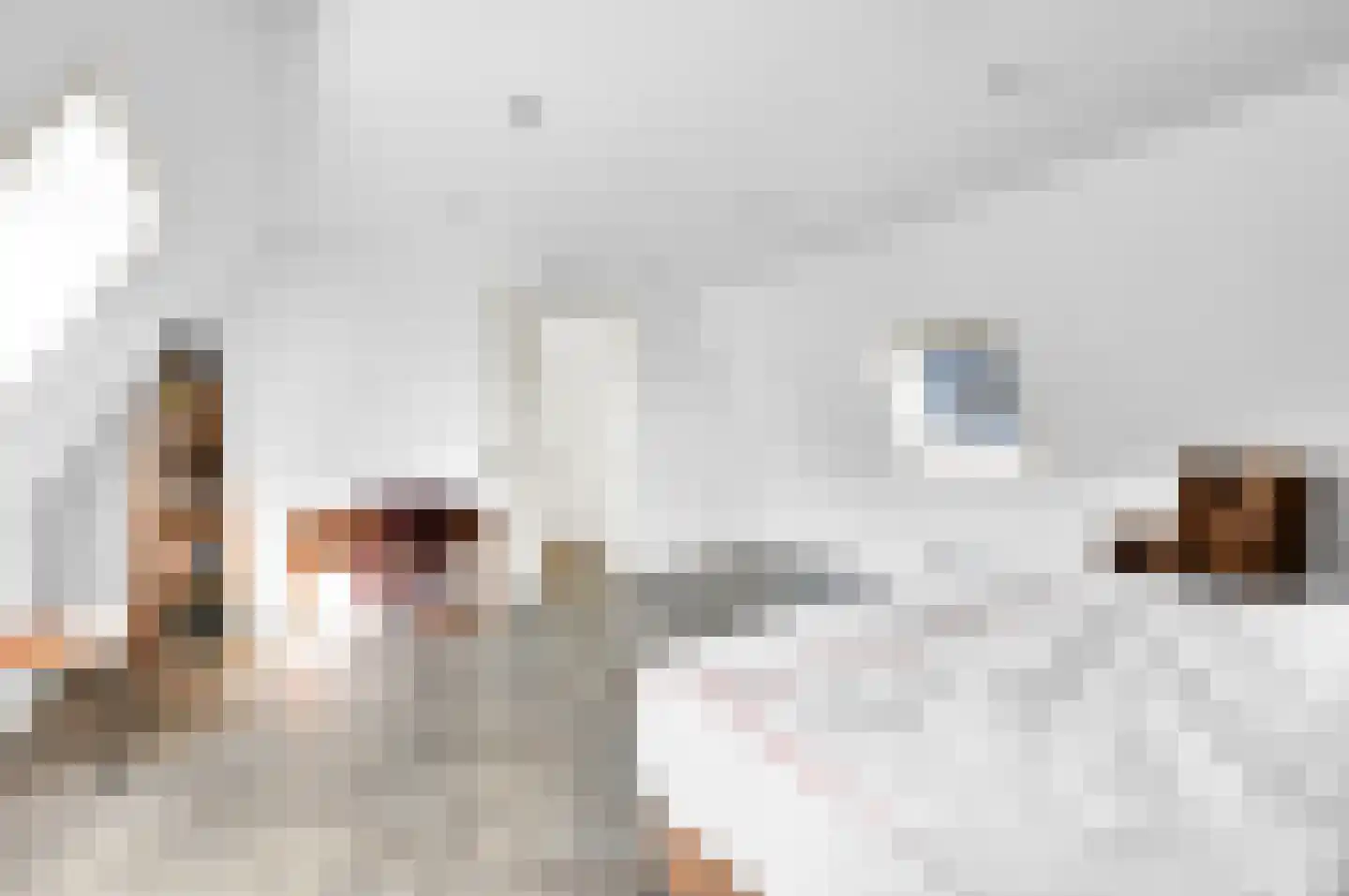 Boomaweg 60 Den Haag thumbnail 61