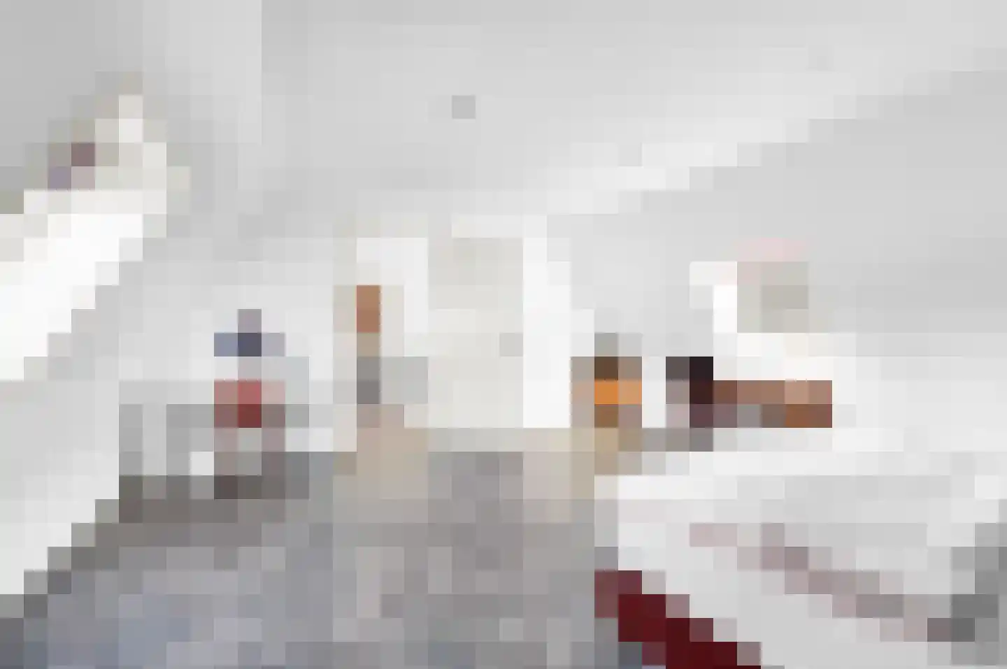 Boomaweg 60 Den Haag thumbnail 64