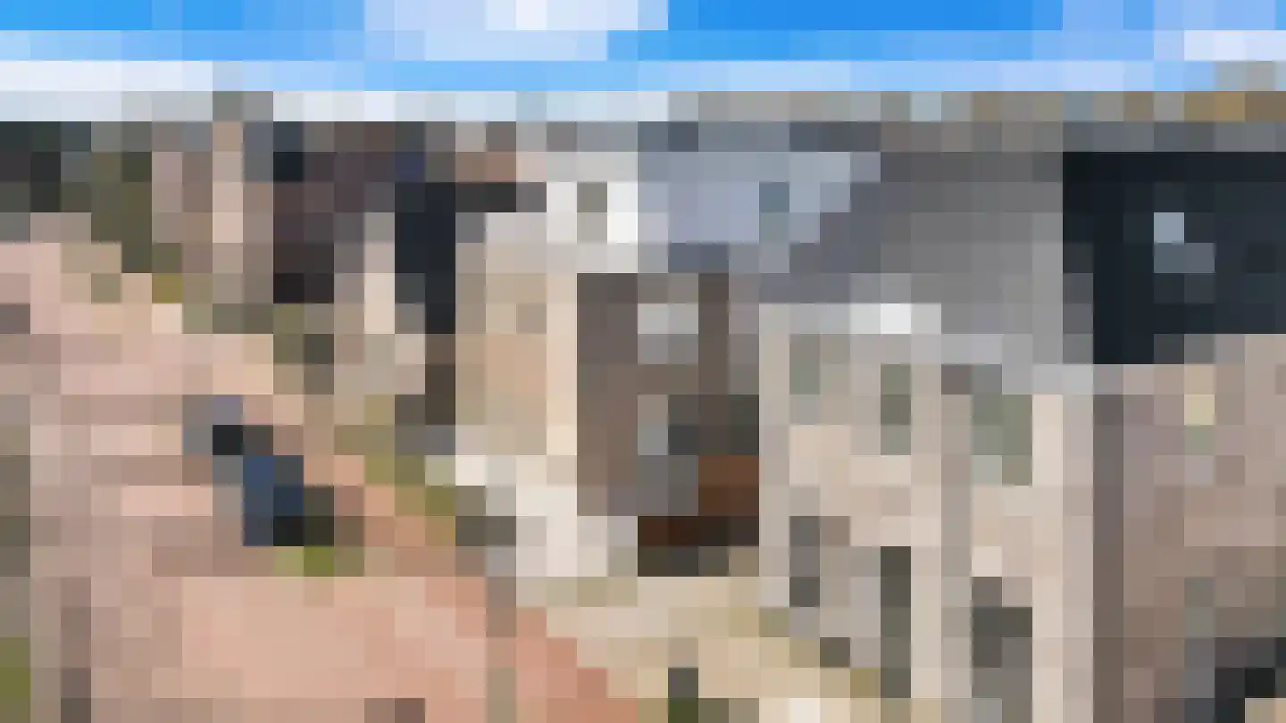 Boomaweg 60 Den Haag thumbnail 7