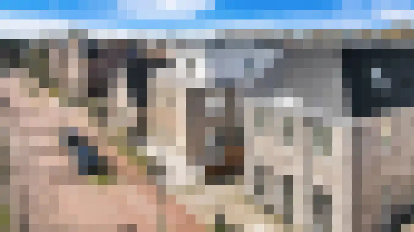 Boomaweg 60 Den Haag thumbnail 7