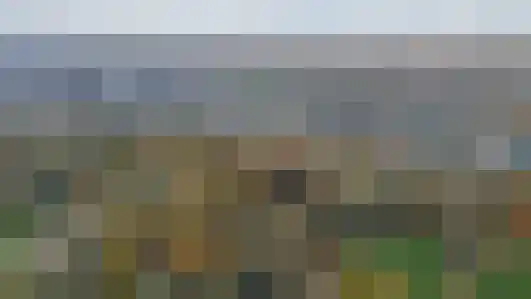 Boomaweg 60 Den Haag thumbnail 77