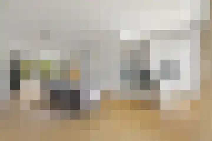 Boomaweg 70 Den Haag thumbnail 10