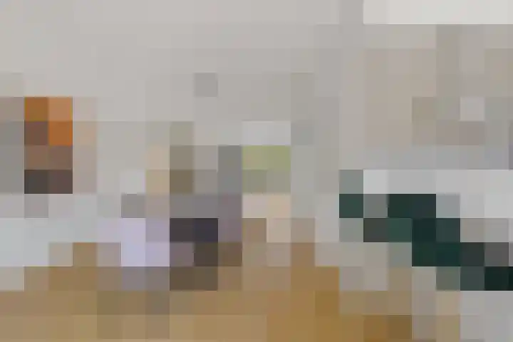 Boomaweg 70 Den Haag thumbnail 12