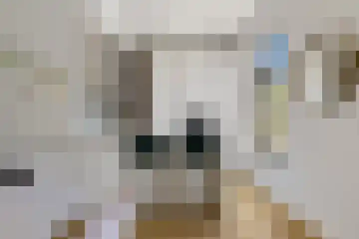 Boomaweg 70 Den Haag thumbnail 13