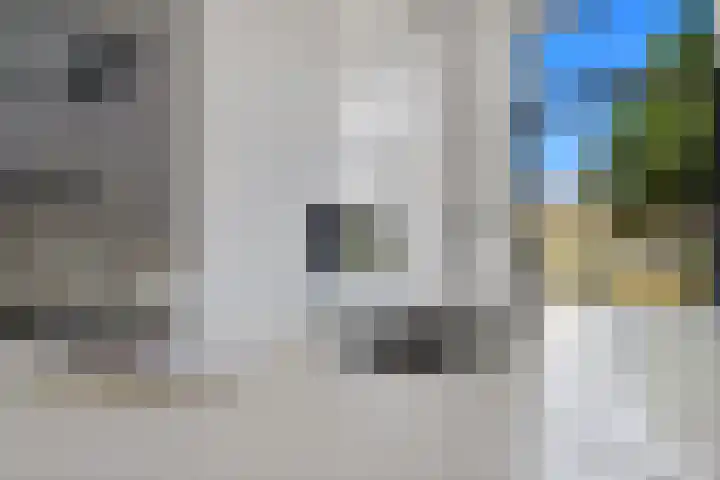 Boomaweg 70 Den Haag thumbnail 16