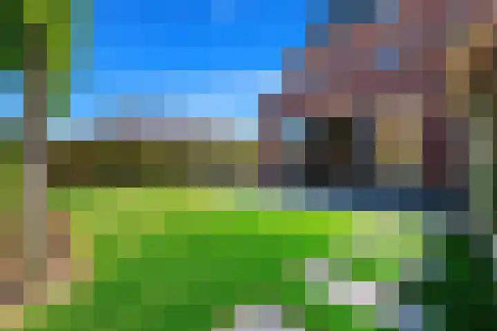 Boomaweg 70 Den Haag thumbnail 21
