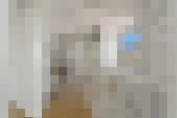 Boomaweg 70 Den Haag thumbnail 23