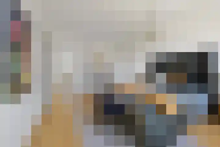 Boomaweg 70 Den Haag thumbnail 24