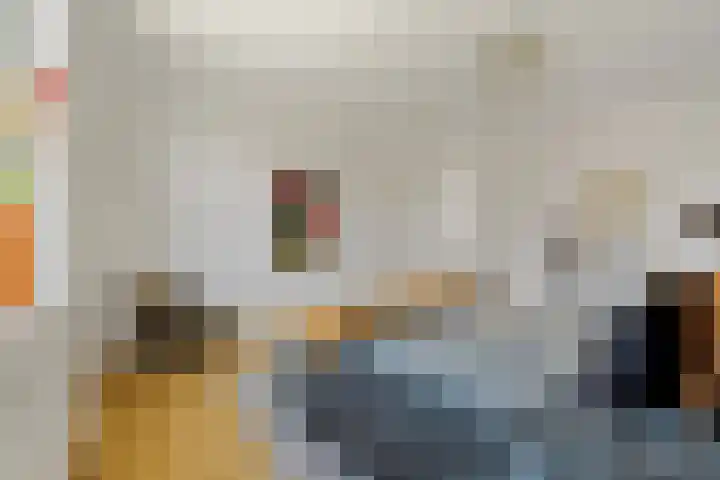 Boomaweg 70 Den Haag thumbnail 26