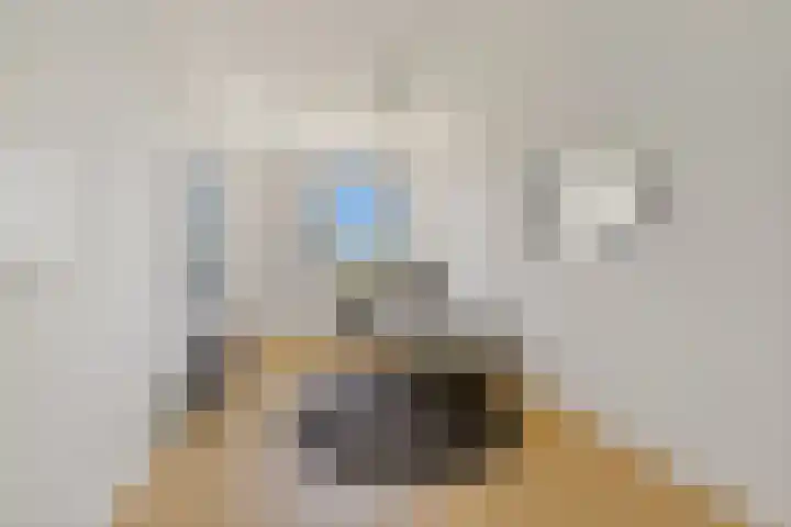Boomaweg 70 Den Haag thumbnail 28