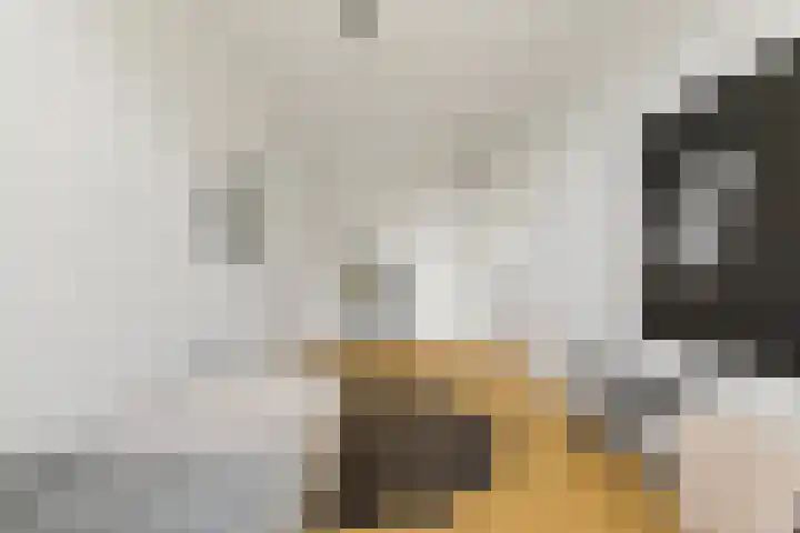 Boomaweg 70 Den Haag thumbnail 29