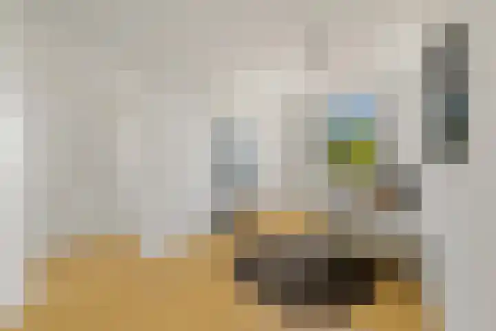 Boomaweg 70 Den Haag thumbnail 30