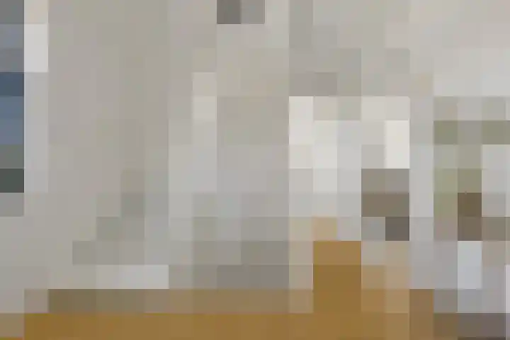 Boomaweg 70 Den Haag thumbnail 31