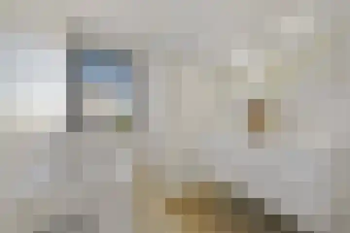 Boomaweg 70 Den Haag thumbnail 32
