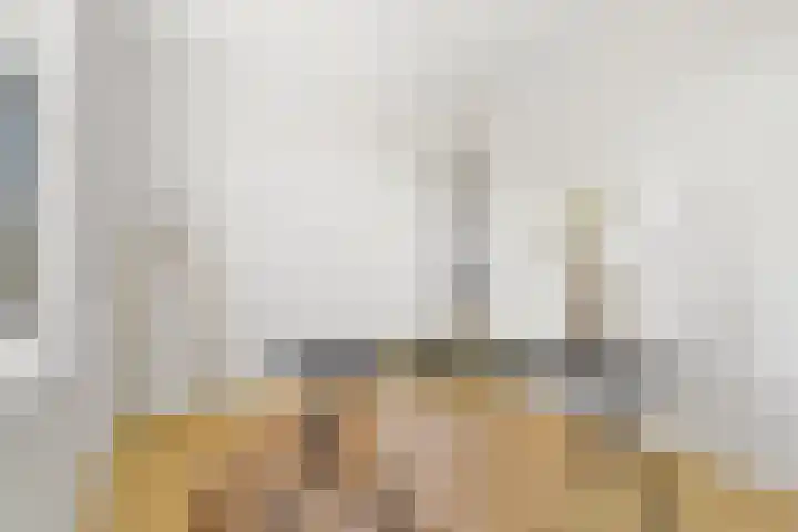 Boomaweg 70 Den Haag thumbnail 36