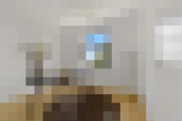 Boomaweg 70 Den Haag thumbnail 37