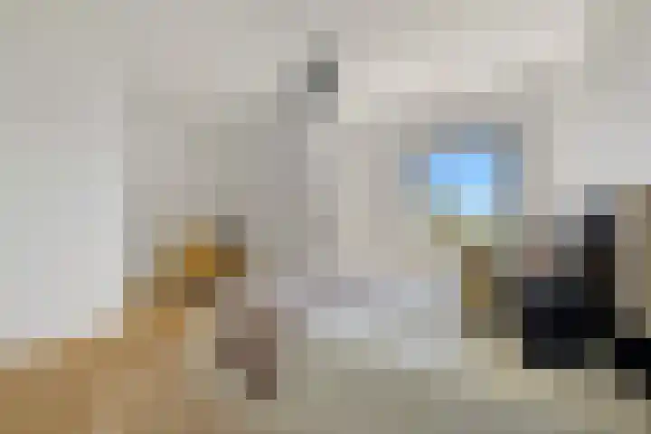 Boomaweg 70 Den Haag thumbnail 39