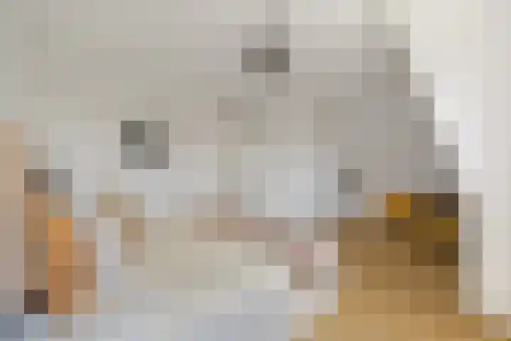 Boomaweg 70 Den Haag thumbnail 47