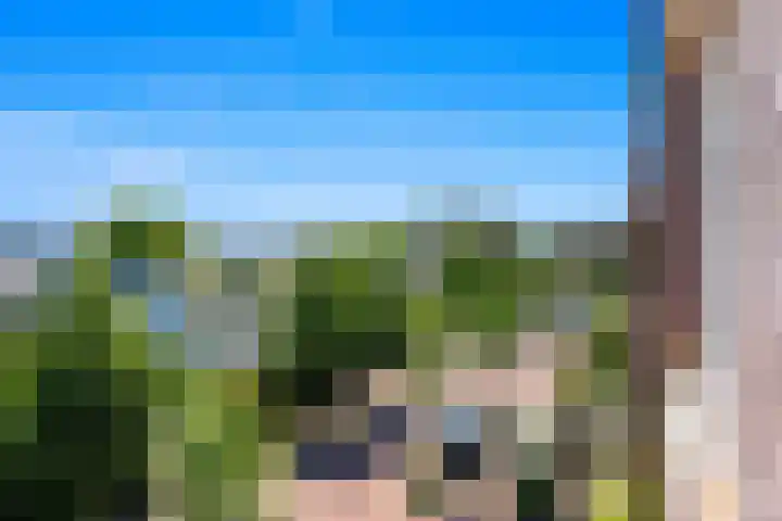 Boomaweg 70 Den Haag thumbnail 49