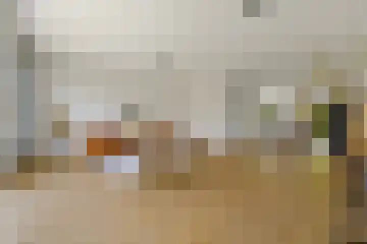 Boomaweg 70 Den Haag thumbnail 5