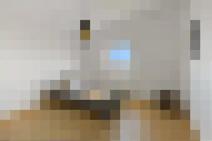 Boomaweg 70 Den Haag thumbnail 57