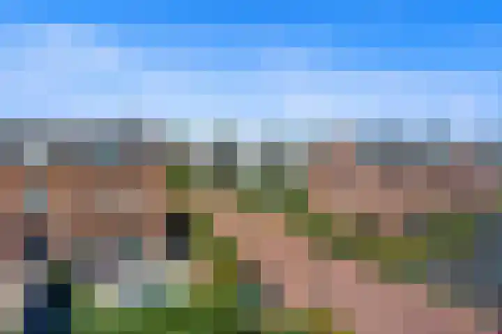 Boomaweg 70 Den Haag thumbnail 59