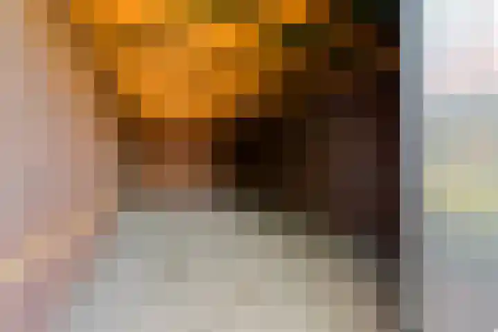 Boomaweg 70 Den Haag thumbnail 61