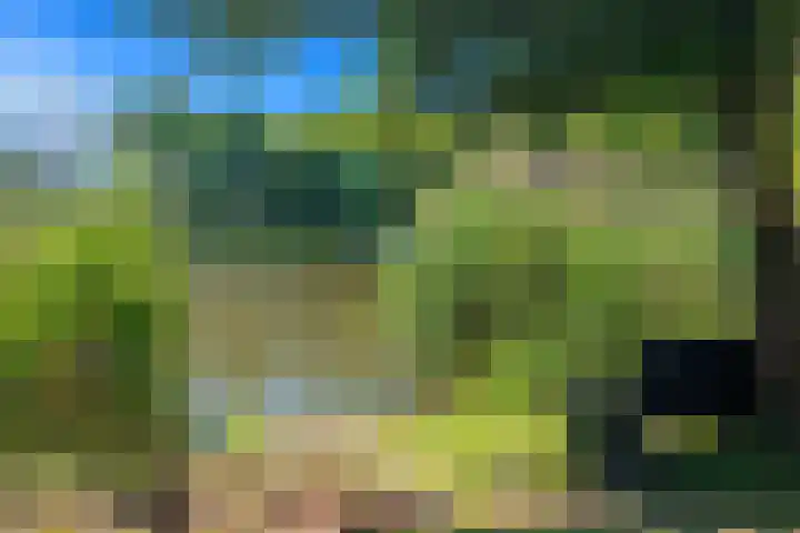 Boomaweg 70 Den Haag thumbnail 63