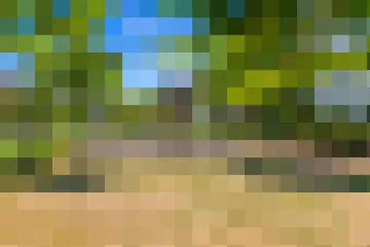 Boomaweg 70 Den Haag thumbnail 64