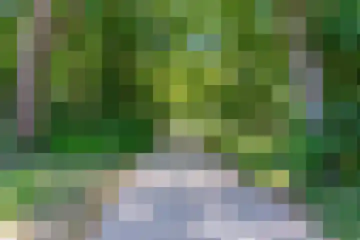 Boomaweg 70 Den Haag thumbnail 65